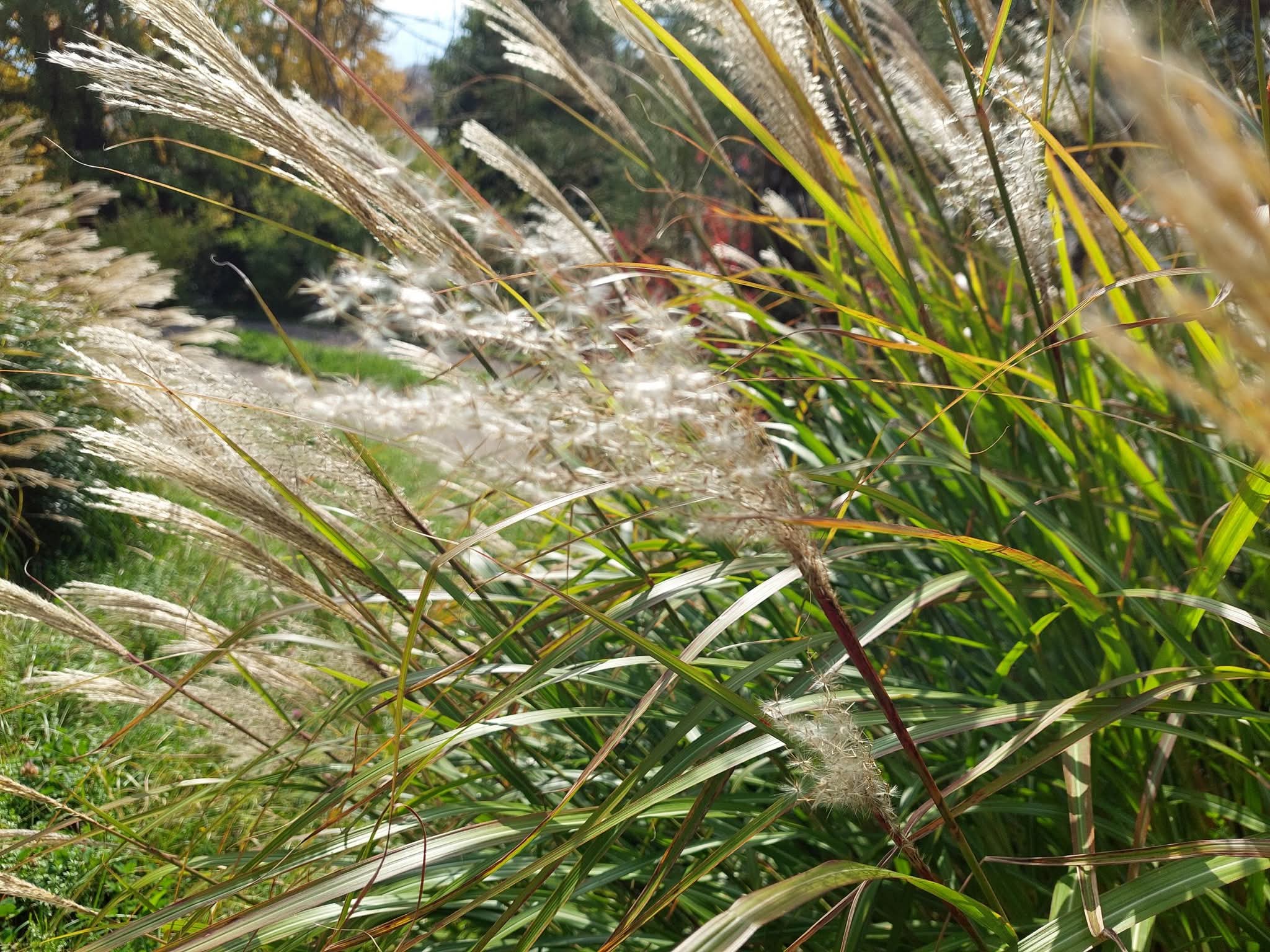 Atelier d'écriture (Lausanne)